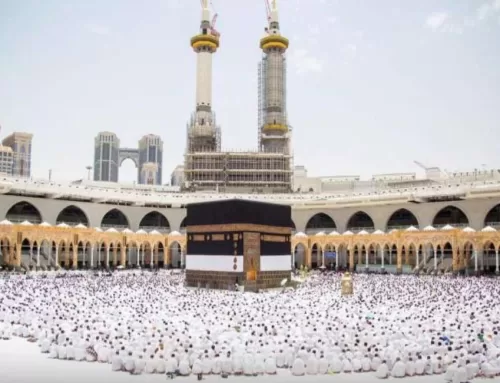 Umrah programs for the year 2025